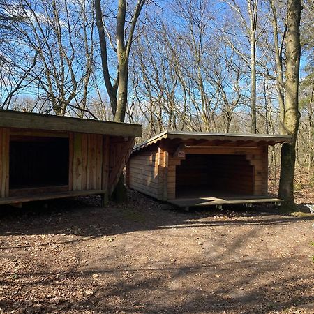 Krogager Primitiv Camping - Krogen Grindsted Exterior foto